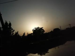 f0016981_16761.jpg