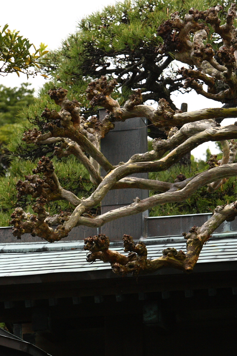 童謡詩人　野口雨情の生家です　北茨城市_e0143883_1725126.jpg