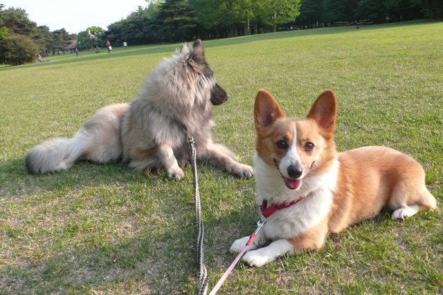 野川公園に行って来たよん_f0032184_235466.jpg