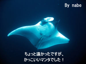 ヒンデン・ヒンムアンクルーズ やったぜ!ダブル三冠王!_f0144385_21561244.jpg