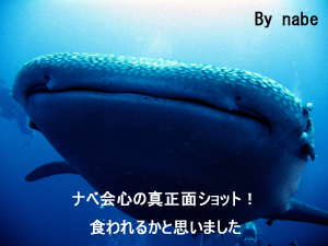 ヒンデン・ヒンムアンクルーズ やったぜ!ダブル三冠王!_f0144385_21584674.jpg