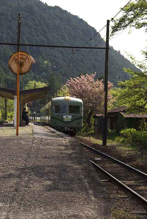 4月19日 静岡 大井川鉄道 田野口駅にて_f0125990_1759323.jpg