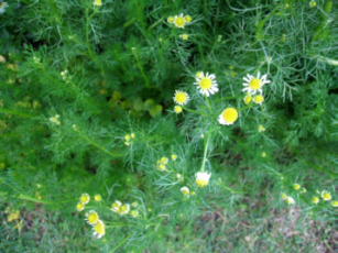 d0099791_0141625.jpg