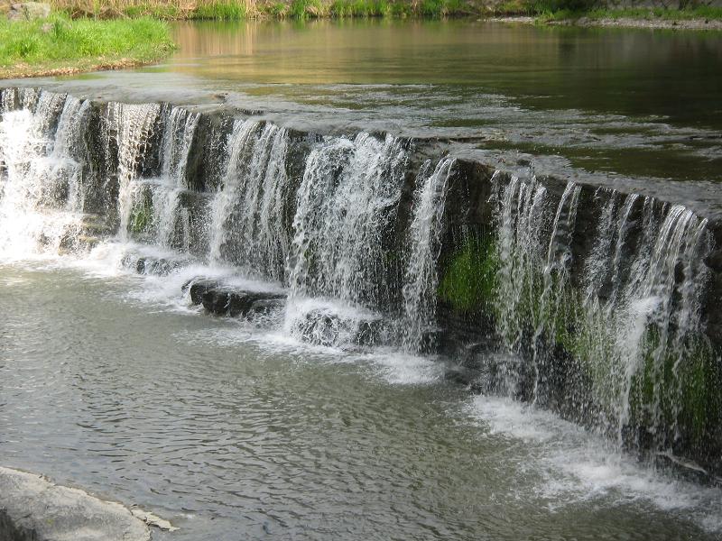 d0107394_1424048.jpg