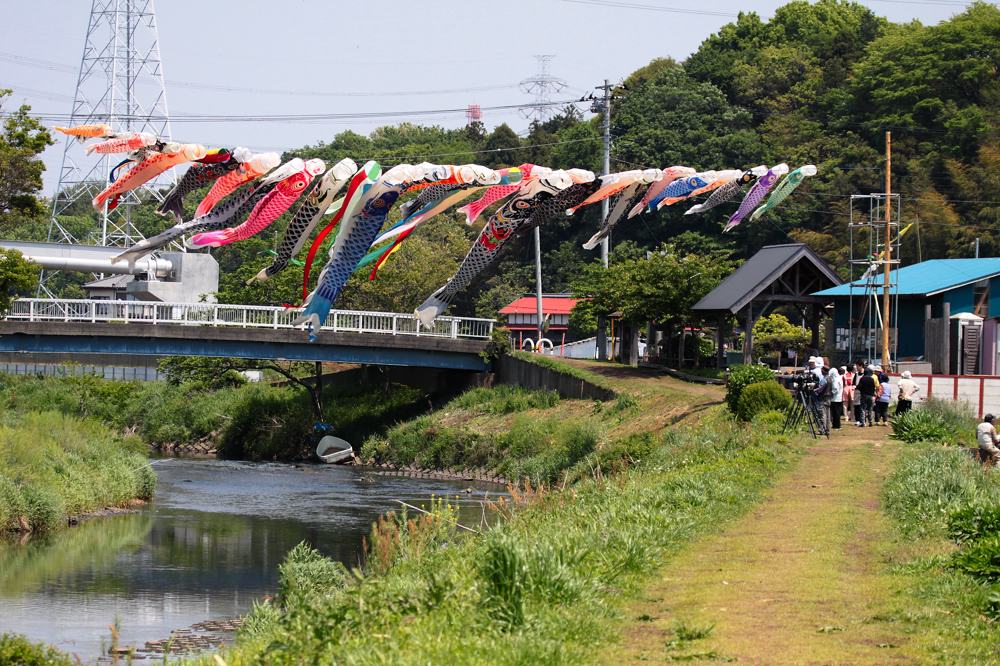 今日から５月です_b0024798_5222045.jpg