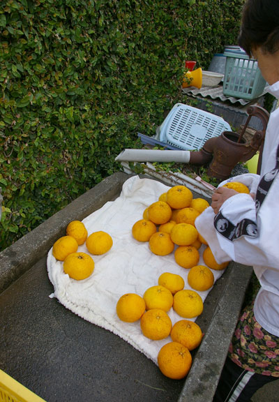 わいわい市_f0162400_14124568.jpg