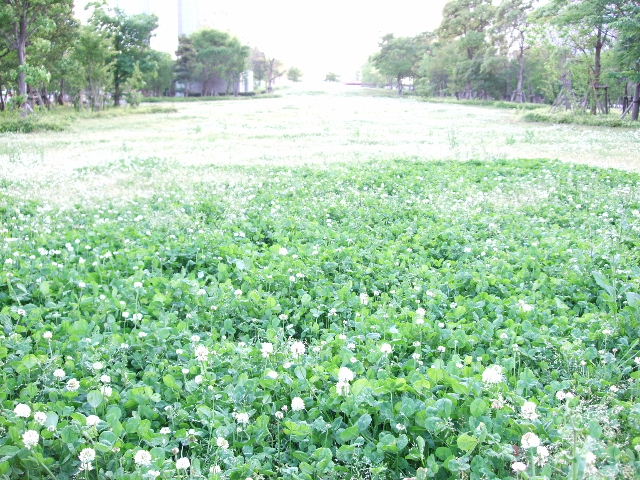 a0115202_2120423.jpg