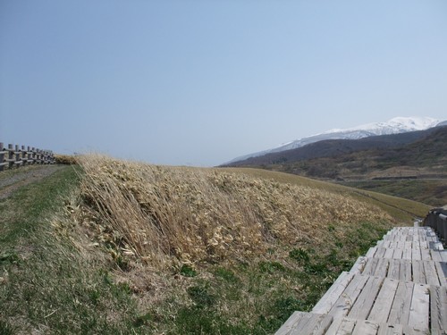 b0139303_21202033.jpg