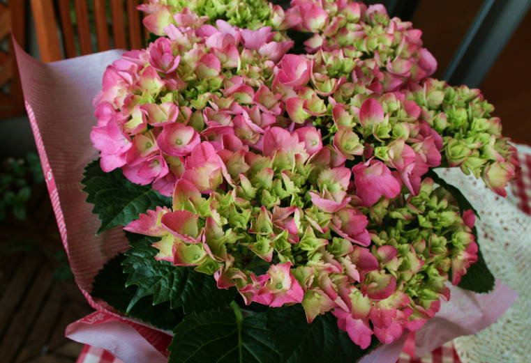 f0031304_825842.jpg