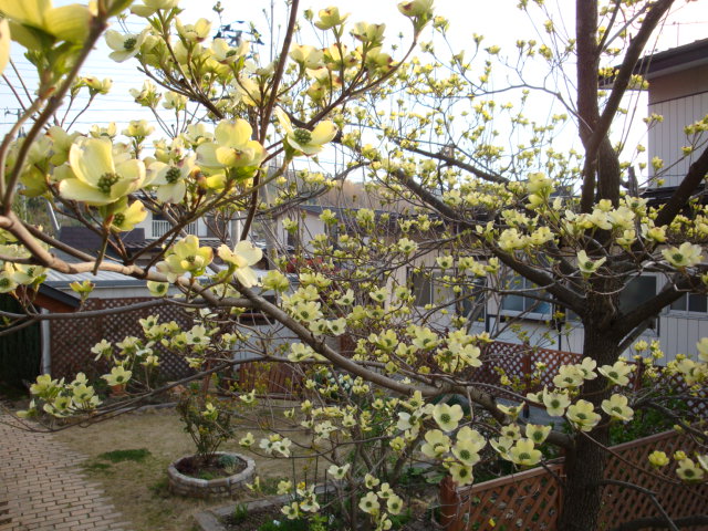 e0175905_2125272.jpg