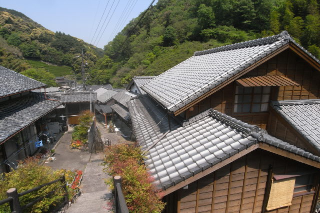 a0006306_834353.jpg