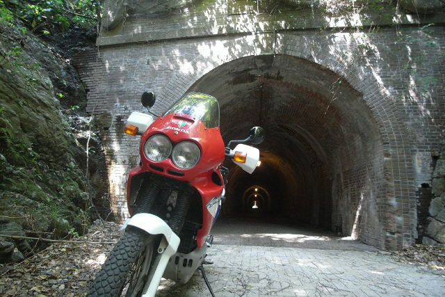 a0006306_84215.jpg