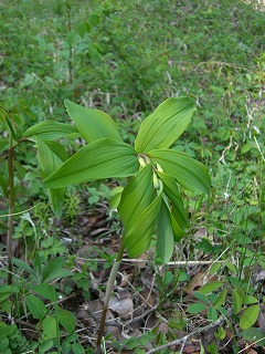 c0117007_21375947.jpg