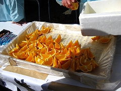 a0036808_2414024.jpg