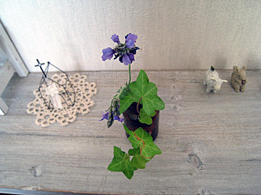c0163810_019248.jpg