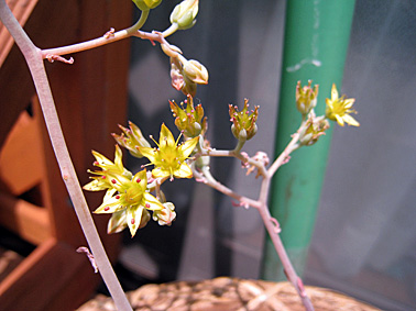 c0163810_181744.jpg