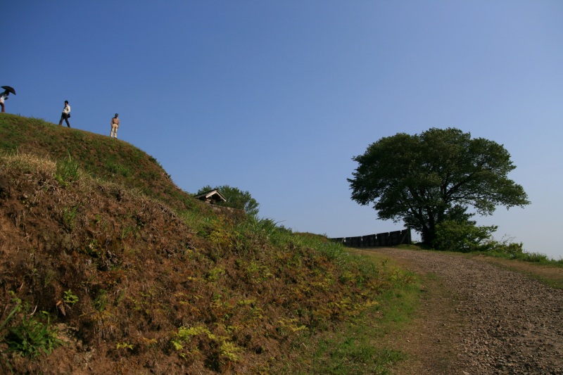 f0201711_22363299.jpg