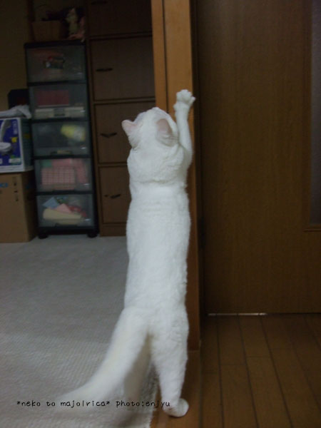 c0123612_0554851.jpg