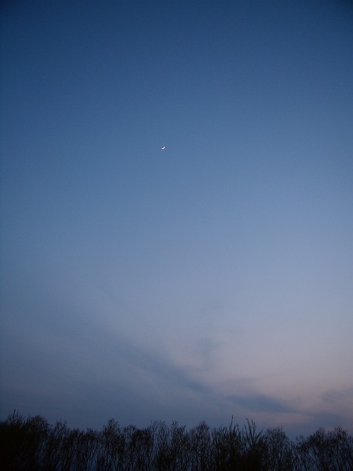 b0152416_0104347.jpg