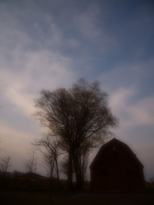 b0152416_04361.jpg