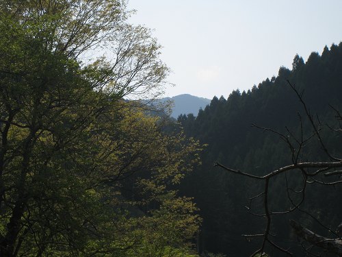 e0117318_2347182.jpg