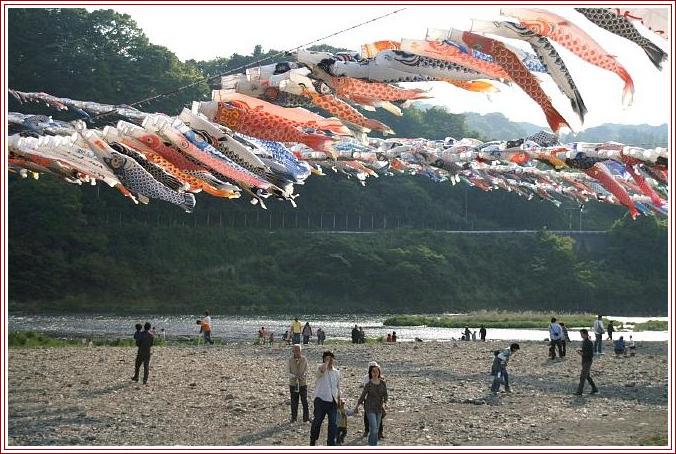 相模川　高田橋の鯉のぼり祭り風景です。／他トビ／写真俳句など。_b0033423_14283020.jpg