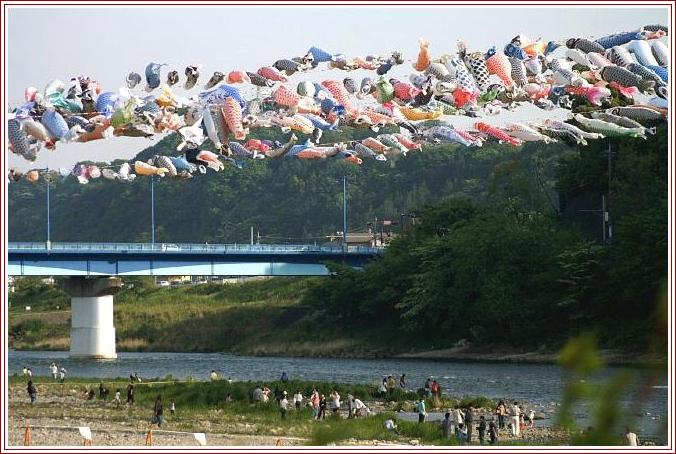 相模川　高田橋の鯉のぼり祭り風景です。／他トビ／写真俳句など。_b0033423_14362151.jpg