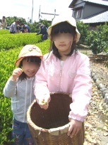 d0006323_8232161.jpg