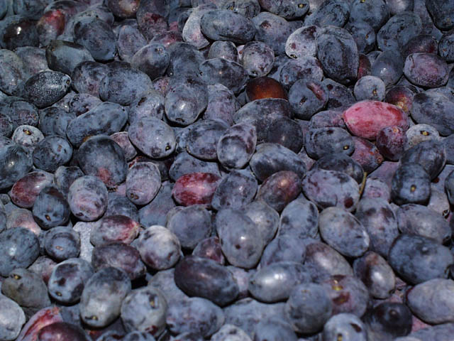 d0065324_9354478.jpg