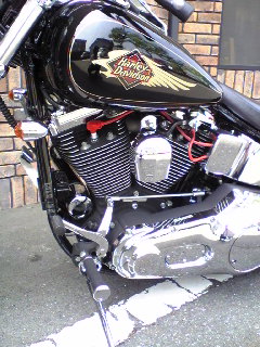 a0099129_17483929.jpg