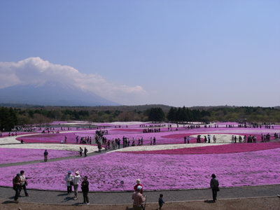 精進湖キャンプ_c0008932_22363032.jpg