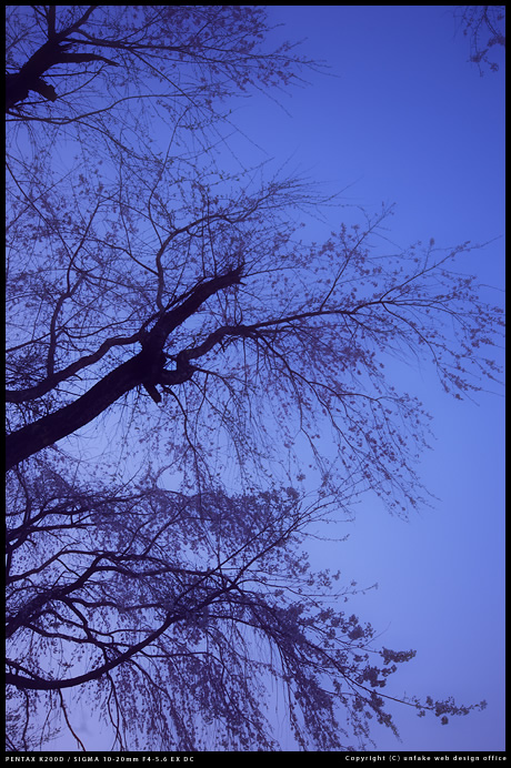 晴耕雨読_c0176838_13191975.jpg