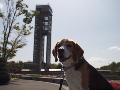 c0119142_623995.jpg