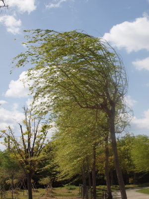 c0119142_653237.jpg