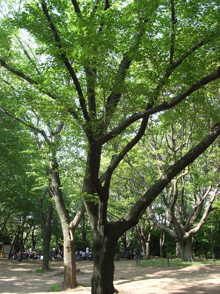 b0169343_0225975.jpg