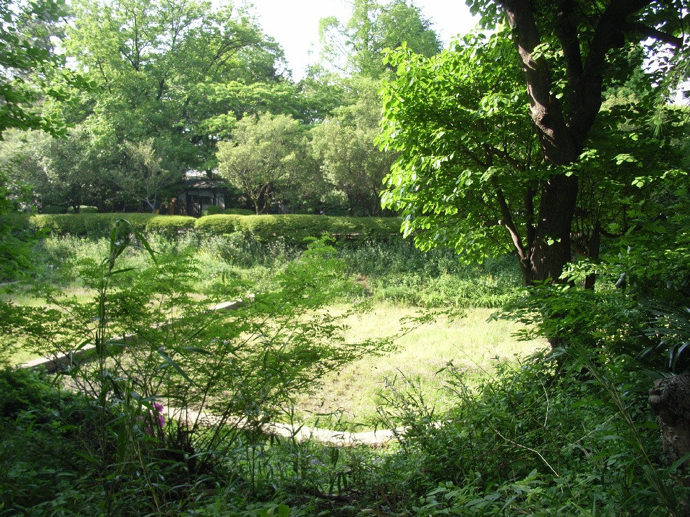 b0169343_0253231.jpg