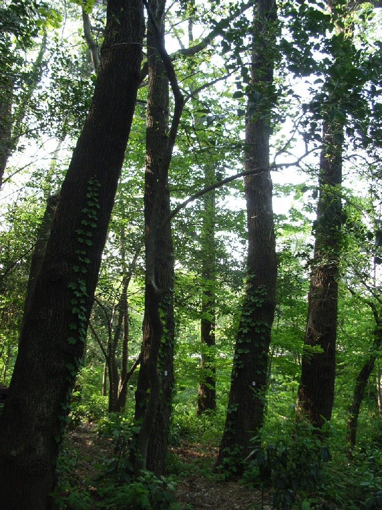 b0169343_025579.jpg