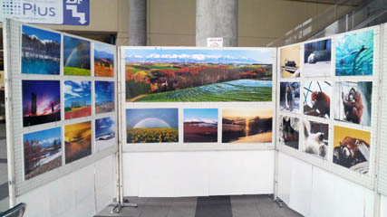 f0104847_012371.jpg
