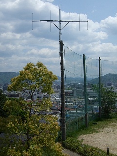 e0035048_1611295.jpg