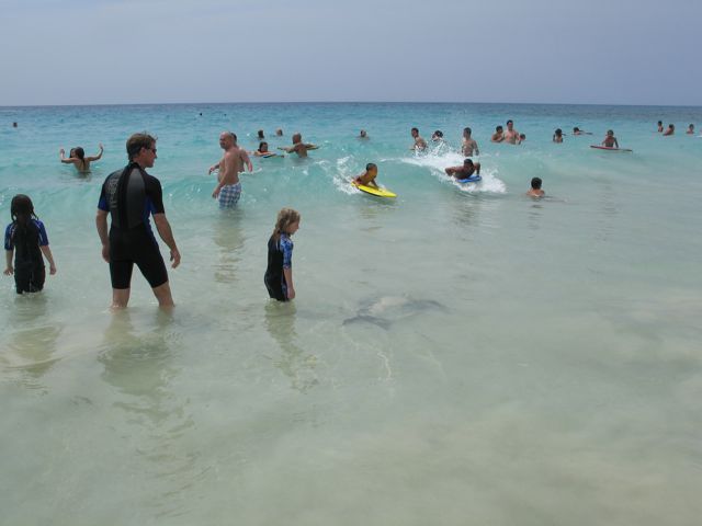 e0076349_1555384.jpg