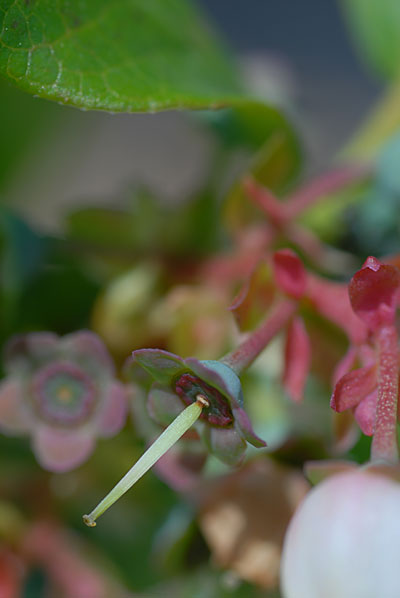 c0145453_0192791.jpg