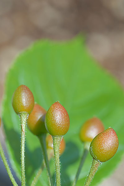 c0145453_0294380.jpg