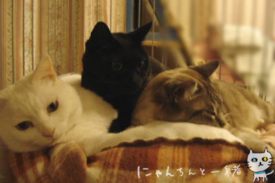 お怒りみゅーちん_e0031853_1715937.jpg