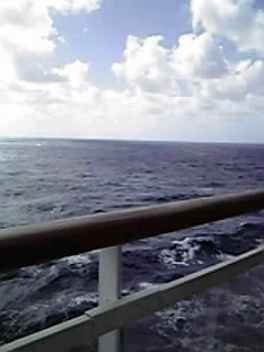 c0185356_2043264.jpg