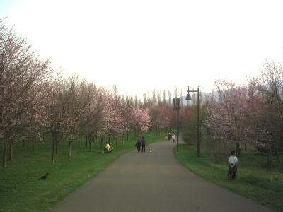 b0105157_22425521.jpg