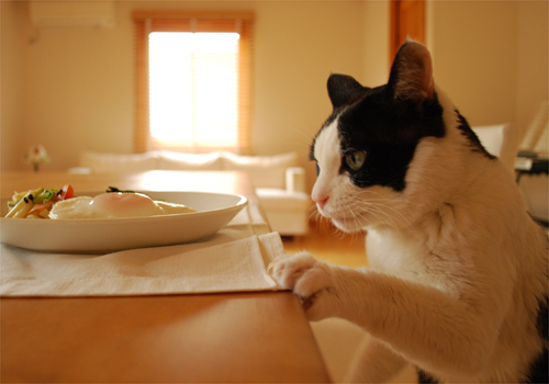 愛と幸せのあるランチ！_c0181457_2163747.jpg