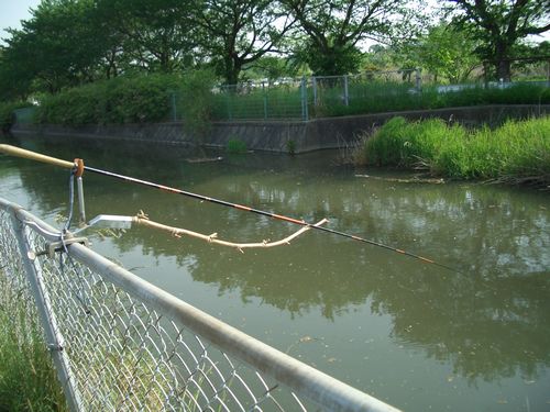 埼玉県の用水路でヘラブナを釣ってみようとおもふ 09 5 2 のべ竿ヘラ釣行 荒川土手でシーバスを釣ってみようと思ふ