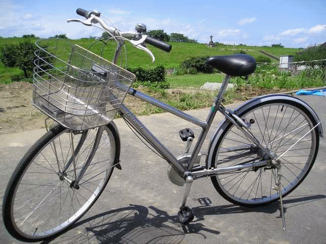 a0080560_1750745.gif