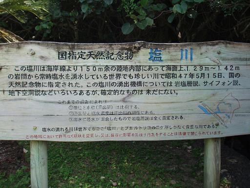 c0180460_1929598.jpg