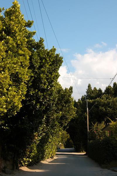 c0180460_2193814.jpg